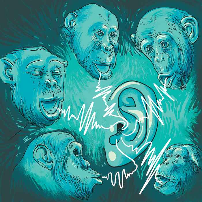 Menselijk oor luistert naar geluid chimpansee